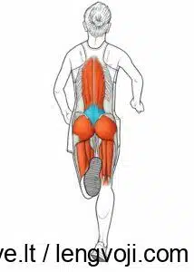 650694773_810049408801598_5424400462989690213_n - 4Active Sveikatingumo Centras